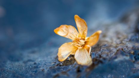 Miért fájnak a legerősebben a sorsszerű kapcsolatok?