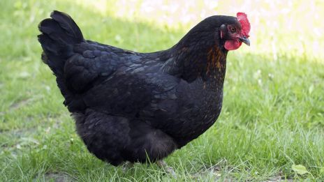 Spirituális történet