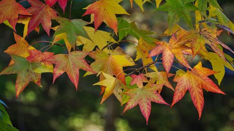 Szeptember – az új kezdetek hónapja