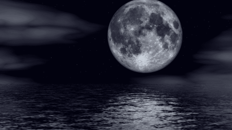 Tavaszi nagytakarítás