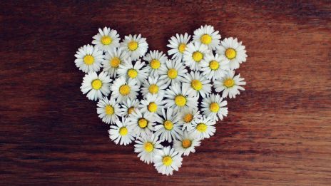 Tisztánlátó vagy? 4. rész