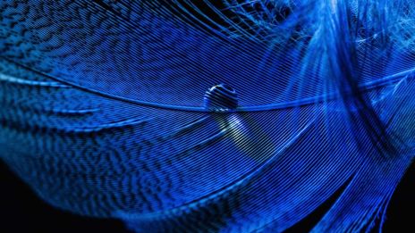 Védelmi energia II. rész