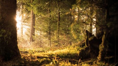 Att vandra på på en häxas stig