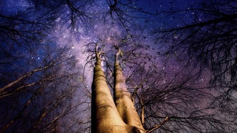 En mörk himmel och spådom