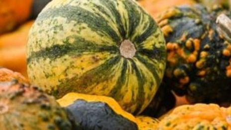 Halloween närmar sig