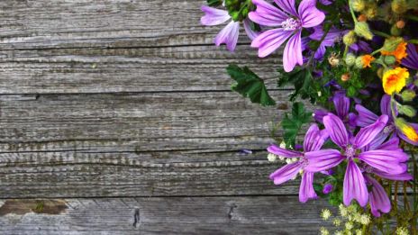 Människor förändras