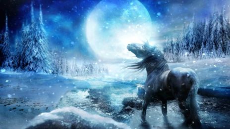 Vintersolståndet, ljuset i den längsta natten