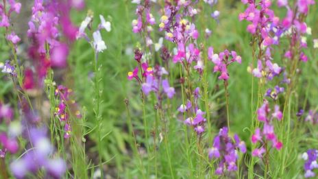 Bra dagar är på väg