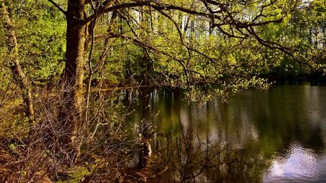 Ingen måne syns på himlavalvet