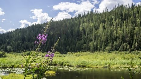 Kortvarig glädje…..