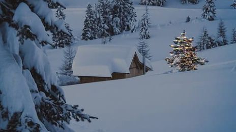 Hela världen är vit