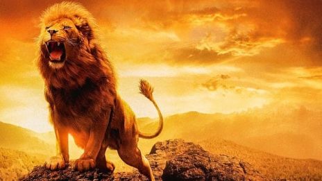 När lejonet ryter…