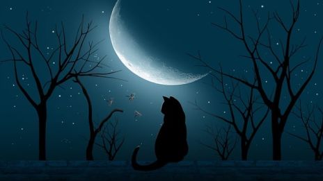 När månen sakta försvinner