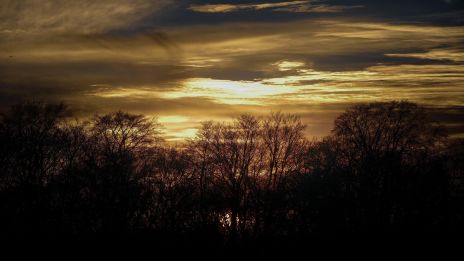 Ritualer under morgonsolen