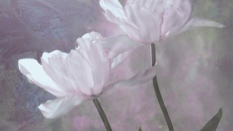 Dagens ängel nummer 1001 – En ny början