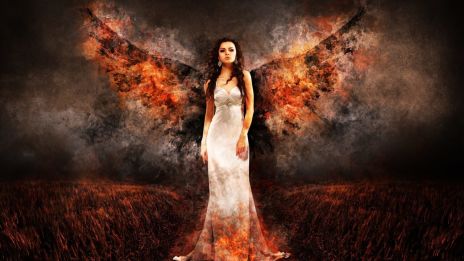 Änglakort – Budskap från ljusets väsen