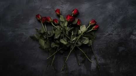 Ett tecken på att du har ett stort hjärta