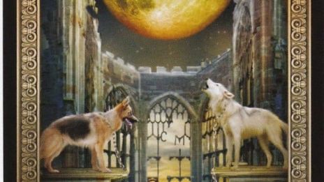 Arcana 18 ; Månen ( Eterkroppen)!