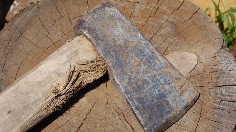 Åskvigg eller torsvigg