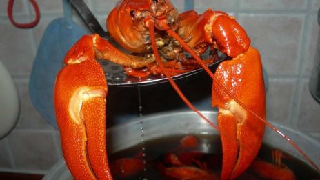 Berätta om sommaren