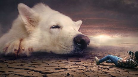 Brinn för dina idéer