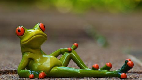Dagens kraftdjur – Groda