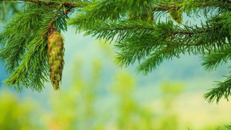 Den andliga betydelsen av tallen