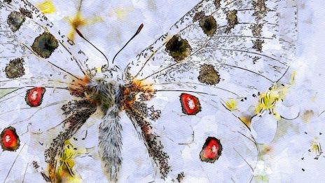 Den modiga själen är du