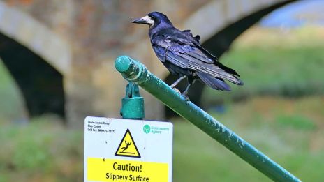 Det har aldrig hänt förut