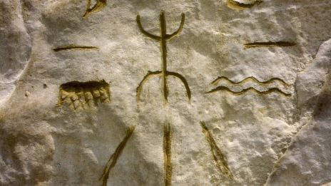 Det omvända medicin hjulet