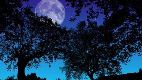 En dröm om framtiden