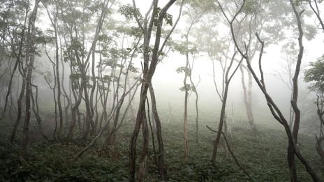 En kväll i silverregn