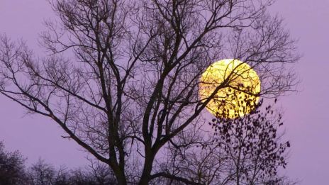 En port till det dolda