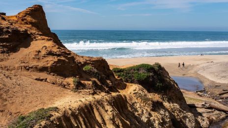 Familjeband, Respekt och Gåvor: Sociala Koder i Stilla Havet
