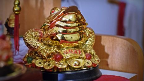 Feng Shui Grodan: Symbolen för Välstånd