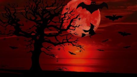 Fladdermöss i magiskt mörker…