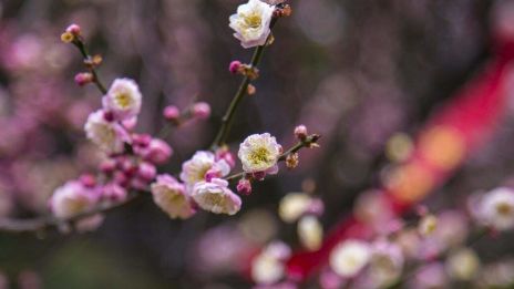 Fokusera på det enkla