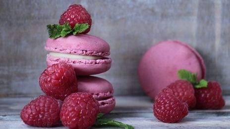 Hallonsnår och blåbärsris