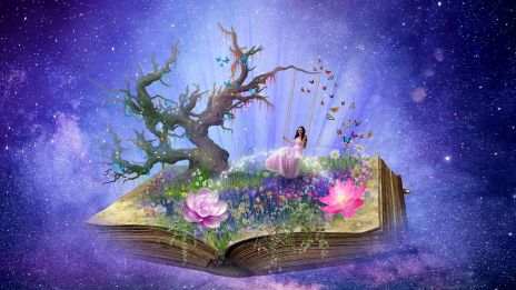 Häxans redskap : skuggbok