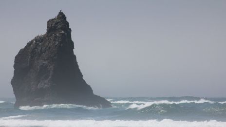 Hej Från Stilla Havet: En Resa Genom Unika Hälsningar
