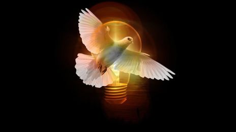 Hur ser andar ut och hur känner man igen en anhörig?