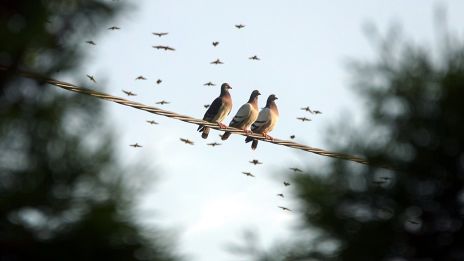 Gamla själslöften som vill släppas