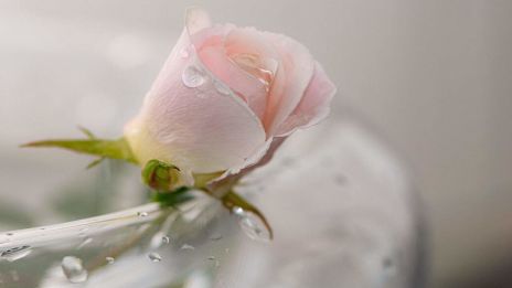 Känn att du har frid