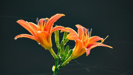 999 – Från Avslut till Ny Början