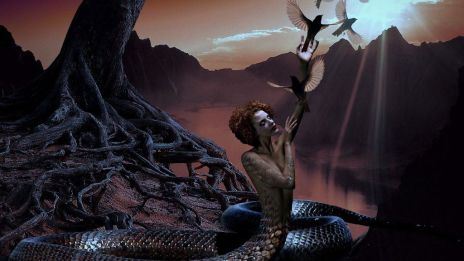 Kollektivets väsen!