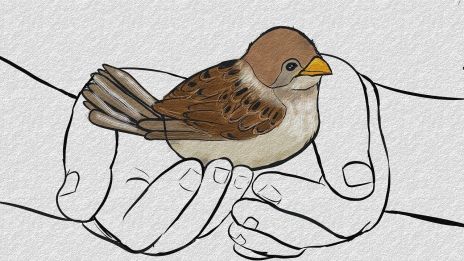 Kontroll över livet