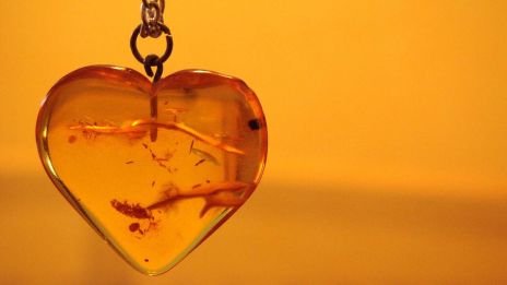 Kristallen Bärnsten