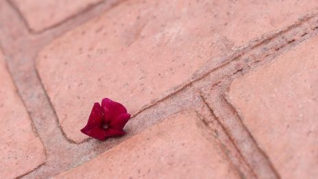 Lita på det som bor i dig