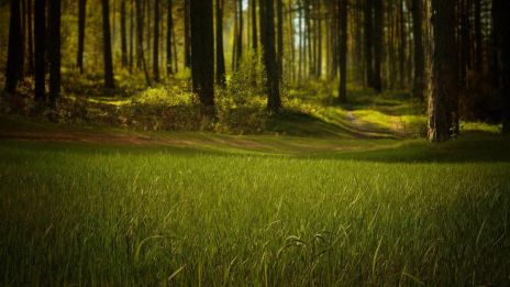 Lugnet vi glömt att vi behöver