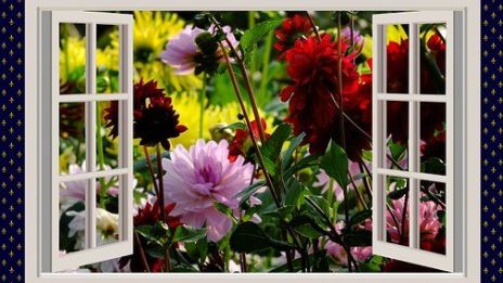 Magiskt sköna utedagar